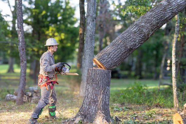 Dunmore forestry and field skills training