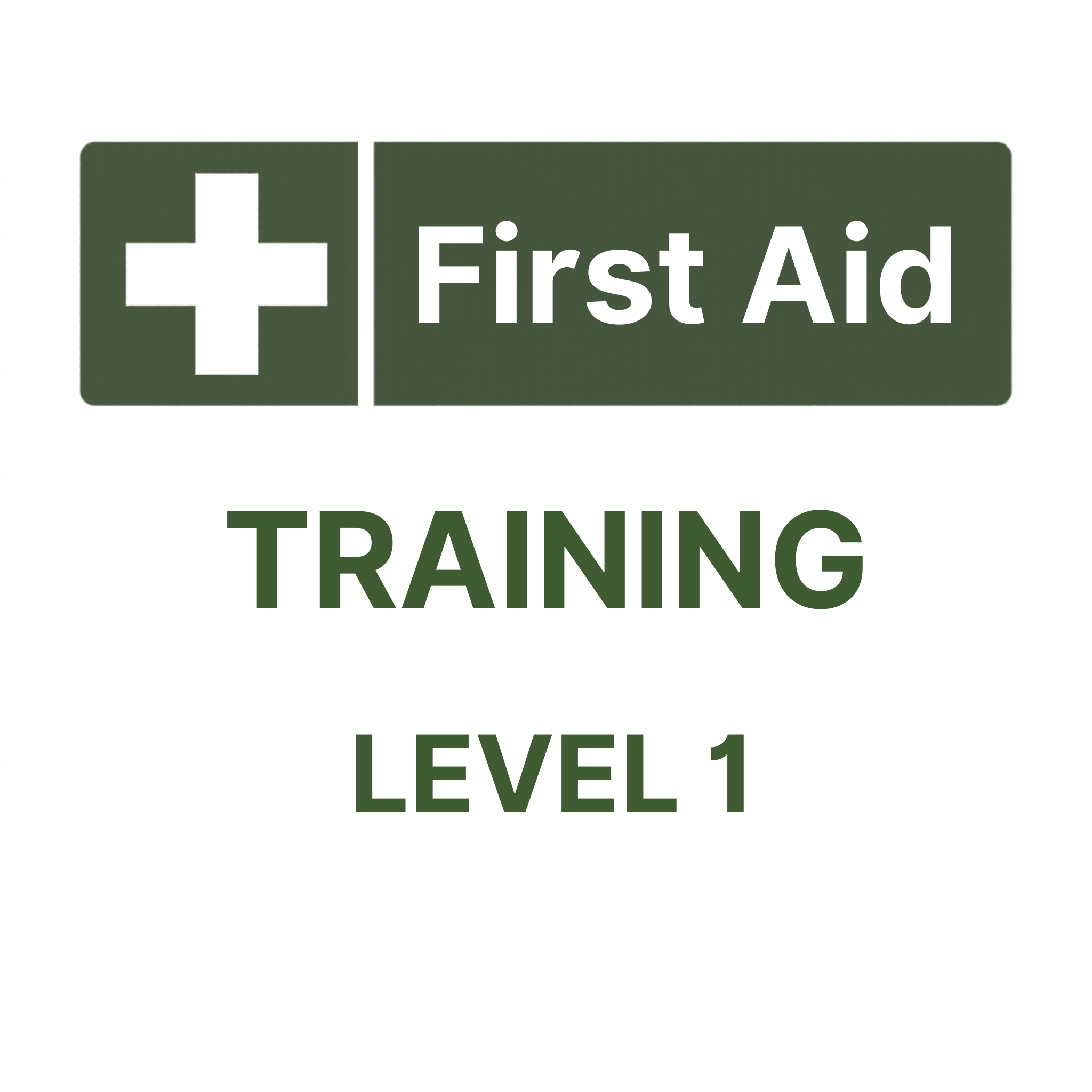 First Aid Level 1 training overview