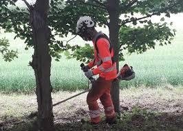 Brushcutter operator training — safe use of equipment