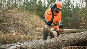 Supervised chainsaw operator practical training