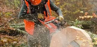 Chainsaw maintenance and safety inspection training