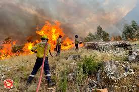 Working on fire — active wildfire suppression training