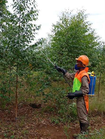Herbicide application training in protective gear