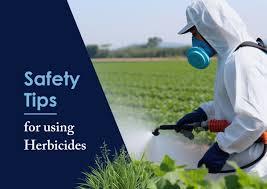 Plant identification and invasive species training